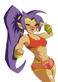 Shantae Whey-Fu Keychain (In Hand)